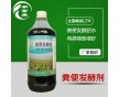 什么发酵剂发酵鸡粪喂虾肥水效果好