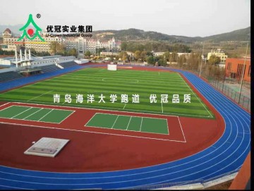 厂家供应13mm透气型 混合型塑胶跑道 足球场跑道材料